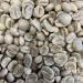 Variety Pack (A) - 4 (1 lb.) Varieties of Unroasted Coffee Beans Variety Pack A - Buy Online on GoSupps.com