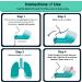 VIRTH Lung Expansion & Mucus Relief Device | Breathing Exercise Flutter Valve Exerciser | Clear Lungs & COPD Aid - Buy Online on GoSupps.com
