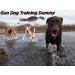 Naedien Gun Dog Training Dummy Dog Turkey Toy Dog Dummy Training Toy Gundog Training Dummies Gundog Dummy Dog Training Toy Dog Retrieve Dummy Water Toys for Dogs 21x12x6CM Small Turkey - Buy Online on GoSupps.com
