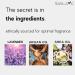 Heart of Provence Roll-On Perfume with Lavender Essential Oil Alcohol-Free All-Natural Organic Long-Lasting Fragrance - Travel-Size Perfume for Women - TSA Approved 0.33 oz / 10 ml - Buy Online on GoSupps.com