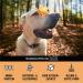 Chewies Duck Training Bats - Grain-Free Sugar-Free Monoprotein Dog Treats - Soft & Reusable Packaging - Made in Germany (6 x 175g) - Buy Online on GoSupps.com