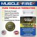 Tribulus Terrestris Bulgarian 1500mg | 45% Saponins | With Lecithin | 180 Capsules - Buy Online on GoSupps.com