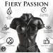 Master Series Bound Goddess Drip Candle - Stunning Decor for Men Women & Couples - Unscented Black Synthetic Wax - International Shipping Available - Buy Online on GoSupps.com