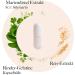Herbal Trade Sankt Anton Mary Thistle Capsules - High Dose 80% Silymarin - Premium Quality German 90 Capsules - Buy Online on GoSupps.com