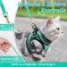 Rabbitgoo Cat Dishes - Stylish & Durable Line Dishes for Cats | International Shipping Available - Buy Online on GoSupps.com