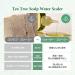 Tea Tree Scalp Treatment - Natural BHA Exfoliator for Oily Scalp | Removes Odor & Buildup | Hypoallergenic Formula - 8.42 fl oz - Buy Online on GoSupps.com