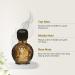 PUB Body Perfume For Men | Unisex Perfume with Aromale Essense Long Lasting Fragrance | EAU DE PERFUM 60 Ml (pack Of 3) - Buy Online on GoSupps.com