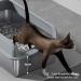 Stainless Steel Cat Litter Box with Lid Odor Control High Sides Metal Litter Box Anti Urine Leakage & Easy Cleaning & Non Sticky Large Litter Pan for Big & Multiple Cats (S #1 S 1600ML - Buy Online on GoSupps.com