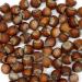 Turcolia Unshelled Hazelnuts 0.55lb | Whole Raw In Shell Nuts | Natural & Unsalted | Easy to Crack | Pack of 1 - Buy Online on GoSupps.com