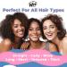 Wet Brush Shine Enhancer Paddle Brush - Hair Detangler with Argan Oil, Soft Bristles for All Hair Types, Wet or Dry - Buy Online on GoSupps.com