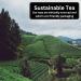 Tropical Rooibos Loose Leaf Tea - 200g Camellios | Buy Online - Buy Online on GoSupps.com