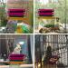 Pet Bird Parrot Parakeet Budgie Cockatiel Cage Hammock Swing Toy - Buy Online on GoSupps.com