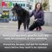 Buy PAWZ PAWB-XL Extra Large Black Dog Boots - Durable Waterproof & Ideal for All Terrain | International Shipping Available - Buy Online on GoSupps.com