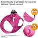 Buy Curli Vest Harness Air-Mesh Fuchsia M | Comfortable & Durable D-Ring Buckle for Dogs - Ships Internationally - Buy Online on GoSupps.com