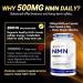 NMN 500MG Per Capsule High Purity 99.9% NMN NAD+ Support for Cellular Energy & Healthy Aging 60 Capsules Third-Party Tested cGMP Made in USA - Buy Online on GoSupps.com