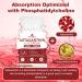 Spliferkou Astaxanthin and Lycopene 70mg Astaxanthin Supplement with Phosphatidylcholine Lutein and Zeaxanthin Powerful Antioxidants Supplement (180 Capsules) - Buy Online on GoSupps.com
