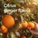 Emergen-C Citrus-Ginger Gummies with Turmeric & Ginger - 36 Count | High Potency Vitamin C Immune Support - Buy Online on GoSupps.com