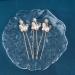 Inilbran Pearl Wedding Hairpins Vintage Pearl Leaf Hair Pins Clip Gold Pearl Hair Pin Barrette Leaf Pearl Bride Hairpiece Decorative Hair Accessories for Women and Girls Hair Headdress(Style A) - Buy Online on GoSupps.com