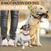 Buy Zenoxo 221cm Dog Leash - Dirt & Waterproof | Adjustable for Small & Large Dogs | Lightweight 3-Way Running Line - Buy Online on GoSupps.com