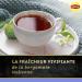 Lipton Pyramid Black Tea Set - 50 Tea Bags - 2 x 50 cm - Buy Online on GoSupps.com