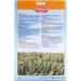 Living World 82477 Spray Millet for Birds 500gm 17.5-Ounce 500 g (Pack of 1) - Buy Online on GoSupps.com