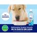 Naturel Promise Fresh Dental Water Additive for Dogs - 18 fl oz, 3 Pack - Easy Dental Health Solution, Cleans Teeth, Freshens Breath up to 12 Hours - No Brushing Needed - Buy Online on GoSupps.com