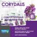Parker Naturals Pure Corydalis Extract - 1000mg per Serving - 120 Capsules for Natural Relief from Minor Aches - Buy Online on GoSupps.com