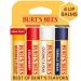 Burt's Bees Lip Balm Easter Basket Stuffers - Vanilla Bean Lip Moisturizer & Lip Balm Easter Basket Stuffers - Beeswax Strawberry Coconut and Pear Vanilla Bean Pack - Buy Online on GoSupps.com
