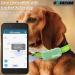 Counlisha Silicone Holder for Tractive XL GPS Tracker | Durable Scratch-Resistant Dog Collar Cover | 2-Pack in Black & Green - Buy Online on GoSupps.com