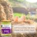 Driver's Pickled Eggs - Pack of 3 Jars x 340g Each - Fresh Quality Shelled Eggs - Perfect Snack or Appetizer for any Occasion - Bundled by The Great British Kitchen Pack of 3 1.0 - Buy Online on GoSupps.com