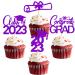 2023 Graduation Theme Cupcake Toppers Class of 2023 Cupcake Toppers Graduation 2023 Congrats Grad Cap Diploma Cupcake Party Cake Decorations Supplies Purple Glitter 12 Pcs