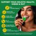 Moringa Gummies 1000mg + Spirulina, Saffron, Ashwagandha & Natural Astaxanthin 4 mg | Energy, Mood, Immune & Gut Health Green Superfood | Organic Moringa Supplement for Women Men, Sugar Free, 120Cts 60 Count (Pack of 2) - Buy Online on GoSupps.com