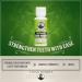 Uncle Harry's All Natural Tooth Powder | Remineralizing & Whitening Toothpaste for Sensitive Teeth | Alkalizing Gum Health & Fresh Breath (2 oz - Buy Online on GoSupps.com