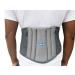 Back Brace for Lower Back Pain - Lumbar Support Belt for Sciatica Scoliosis Herniated Disc - Breathable Brace with Lumbar Pad for Men & Women (L)