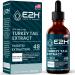 E2H Turkey Tail Mushroom Extract - All-Natural Immune System & Digestive Support from Advanced Mushroom Supplement - Turkey Tail Mushrooms Supplement - Non-GMO Vegan - 2 Fl Oz Turkey Tail 2 Fl Oz (Pack of 1)