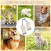 Euioovm Dog Bone Protection Elbow Bandage for Medium & Large Dogs - Wound Licking Prevention & Arthritis Relief (L) - Buy Online on GoSupps.com