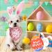 Easter Dog Bandanas - Plaid Scarf for Small to Large Dogs in Pink & Yellow - Buy Online on GoSupps.com