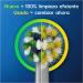 Oral-B Crossaction CleanMaximiser Replacement Heads (8-Pack) - Original Refill for Electric Toothbrush - Buy Online on GoSupps.com