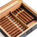 Cigar Boxs Cigar Case Cigar Box Cigar Humidor Holds 20 Cigars Handmade Cigar Boxes Desktop Cigar Storage with Hygrometer and Humidifier Cedivider Glasstop - Buy Online on GoSupps.com