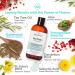 Era Organics Tea Tree Oil Face Wash for Oily Skin - Salicylic Acid Cleanser - Sulfate-Free Formula - Buy Online on GoSupps.com