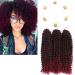 3 packs passion twist crochet hair 12 inch crochet borders for short marlybob kinky curly crochet braids 30.5 cm curly wavy hair extension (12 inch t1b/bug)