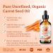 Bella Terra Oils - Organic Carrot Seed Oil 8 oz - Unveiling Organic Carrot's Enzymes & Nutritional Benefits A Cold-Pressed Delight for a Natural Skin Glow - Buy Online on GoSupps.com