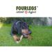 Fourles Natural Kausnack for Dogs - 100% Deer Antler Chews Dental Care Minerals - Size L (5 Pack) - Premium Chewing Treats - Buy Online on GoSupps.com