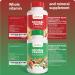 ADELIFE Fruit And Veggies Dietary Supplement, Total 120 Capsules, Earth Energy Fruits And Vegetables, Daily Vitamins, Super Fruits And Veggies Supplements, Vegetable Supplements For Adults,MADE IN USA - Buy Online on GoSupps.com