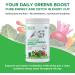 Active Green Pro - Greens Powder 14 Superfoods - Perfect for Smoothies - Antioxidants Fiber Vitamins & Minerals - Detox Your Body and Improve Health and Mood Unflavoured Unflavored - Buy Online on GoSupps.com