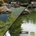 Hydra Quartz Blanket Weed Pond Treatment - Blanket Weed Killer for Ponds | Removes Harmful Ammonia from Water | 1 Kg Treats Up to 12 500 Liters - Buy Online on GoSupps.com