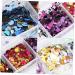 Healeved Nail Art Accessories Ultra-Thin Glitter Sequins & Crown Bow Clips for Stunning Nail Designs | Assorted Colors & Stainless Steel Stickers - Buy Online on GoSupps.com