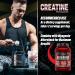 Myogenix Creatine Monohydrate - Pure Muscle Growth Supplement Increase Strength & ATP Production 80 Servings (400g - Buy Online on GoSupps.com
