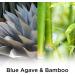 Air Wick Essential Mist Refill - Blue Agave and Bamboo - 0.67 fl oz - Buy Online on GoSupps.com