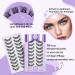 Buy False Eyelashes P02 B & Q - 10 Pairs Cat Eye Fluffy Cluster Lashes | Natural DIY Lash Extensions - Buy Online on GoSupps.com